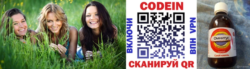 Кодеиновый сироп Lean Purple Drank  где можно купить наркотик  Отрадный 