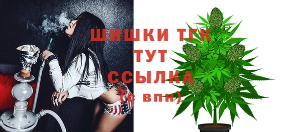 стаф Армянск