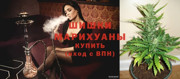a pvp Аркадак
