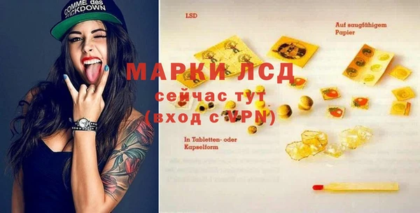 ГАЛЛЮЦИНОГЕННЫЕ ГРИБЫ Арсеньев
